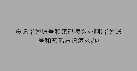 忘记华为账号和密码怎么办啊(华为账号和密码忘记怎么办)