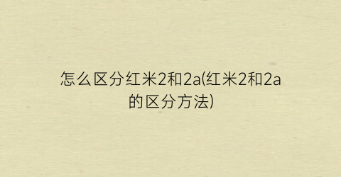 “怎么区分红米2和2a(红米2和2a的区分方法)