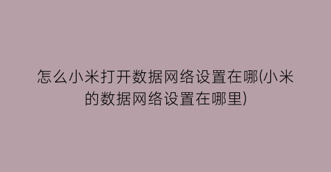 怎么小米打开数据网络设置在哪(小米的数据网络设置在哪里)