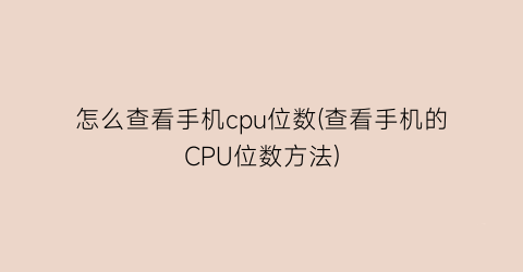 “怎么查看手机cpu位数(查看手机的CPU位数方法)
