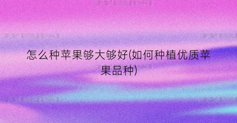 “怎么种苹果够大够好(如何种植优质苹果品种)