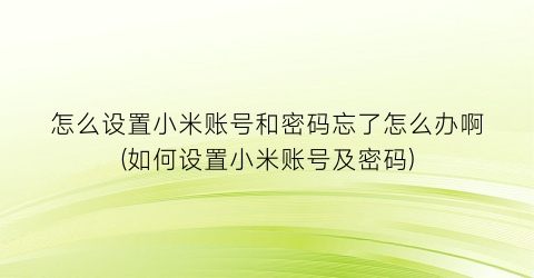 “怎么设置小米账号和密码忘了怎么办啊(如何设置小米账号及密码)