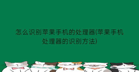 怎么识别苹果手机的处理器(苹果手机处理器的识别方法)