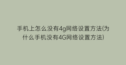 手机上怎么没有4g网络设置方法(为什么手机没有4G网络设置方法)