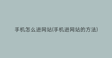 “手机怎么进网站(手机进网站的方法)