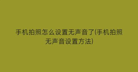 手机拍照怎么设置无声音了(手机拍照无声音设置方法)