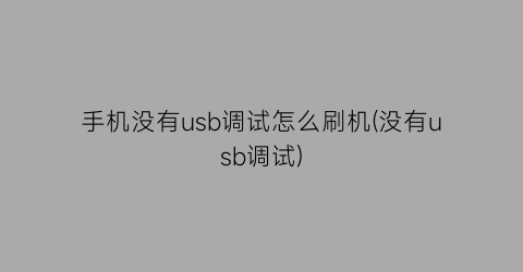 手机没有usb调试怎么刷机(没有usb调试)