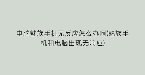 “电脑魅族手机无反应怎么办啊(魅族手机和电脑出现无响应)