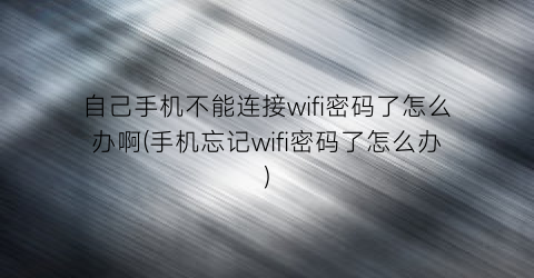 自己手机不能连接wifi密码了怎么办啊(手机忘记wifi密码了怎么办)