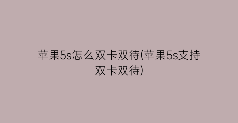 苹果5s怎么双卡双待(苹果5s支持双卡双待)