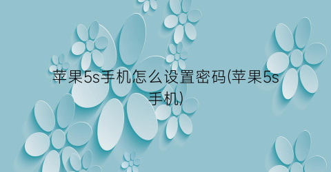 苹果5s手机怎么设置密码(苹果5s手机)