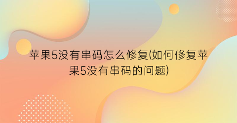 苹果5没有串码怎么修复(如何修复苹果5没有串码的问题)