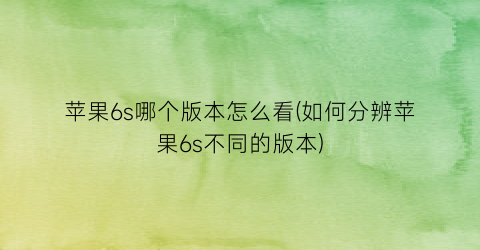 苹果6s哪个版本怎么看(如何分辨苹果6s不同的版本)