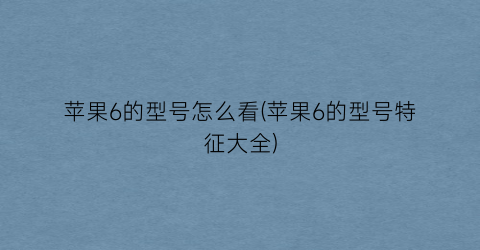 “苹果6的型号怎么看(苹果6的型号特征大全)