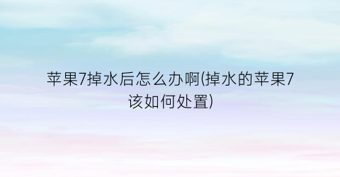 “苹果7掉水后怎么办啊(掉水的苹果7该如何处置)