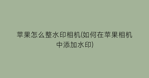 “苹果怎么整水印相机(如何在苹果相机中添加水印)