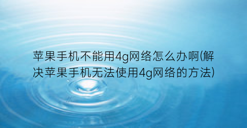 “苹果手机不能用4g网络怎么办啊(解决苹果手机无法使用4g网络的方法)