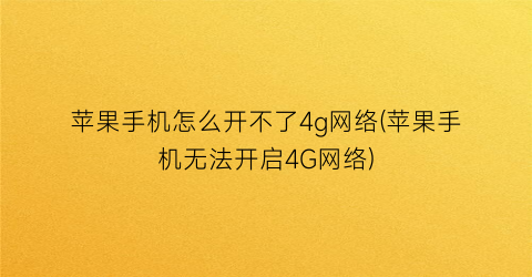 苹果手机怎么开不了4g网络(苹果手机无法开启4G网络)