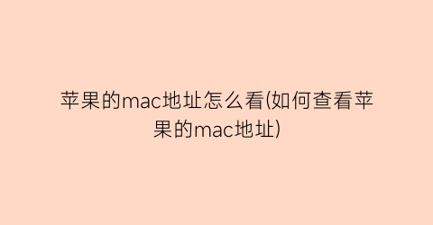 苹果的mac地址怎么看(如何查看苹果的mac地址)