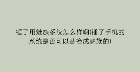 锤子用魅族系统怎么样啊(锤子手机的系统是否可以替换成魅族的)