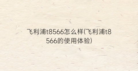 飞利浦t8566怎么样(飞利浦t8566的使用体验)