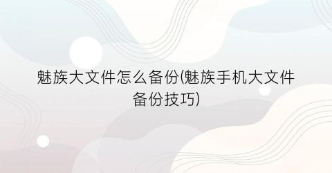 “魅族大文件怎么备份(魅族手机大文件备份技巧)