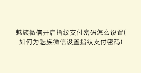 魅族微信开启指纹支付密码怎么设置(如何为魅族微信设置指纹支付密码)