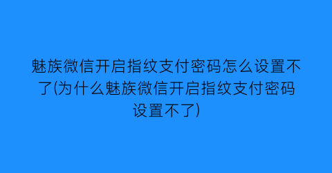 魅族微信开启指纹支付密码怎么设置不了(为什么魅族微信开启指纹支付密码设置不了)