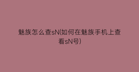 魅族怎么查sN(如何在魅族手机上查看sN号)