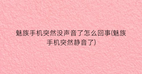 “魅族手机突然没声音了怎么回事(魅族手机突然静音了)