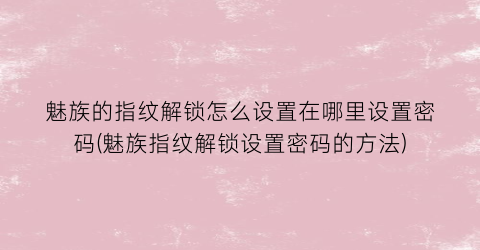 魅族的指纹解锁怎么设置在哪里设置密码(魅族指纹解锁设置密码的方法)