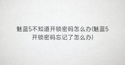 魅蓝5不知道开锁密码怎么办(魅蓝5开锁密码忘记了怎么办)