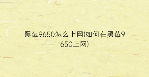 黑莓9650怎么上网(如何在黑莓9650上网)