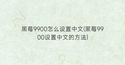 黑莓9900怎么设置中文(黑莓9900设置中文的方法)