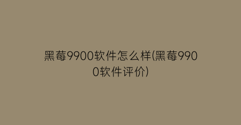 黑莓9900软件怎么样(黑莓9900软件评价)