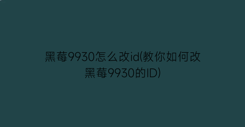 黑莓9930怎么改id(教你如何改黑莓9930的ID)