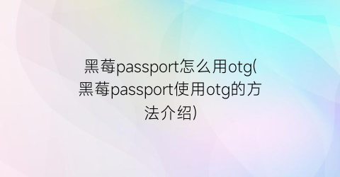 黑莓passport怎么用otg(黑莓passport使用otg的方法介绍)