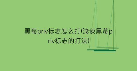 “黑莓priv标志怎么打(浅谈黑莓priv标志的打法)