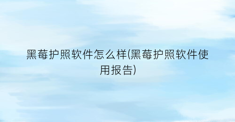 黑莓护照软件怎么样(黑莓护照软件使用报告)