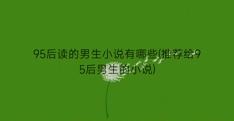 95后读的男生小说有哪些(推荐给95后男生的小说)