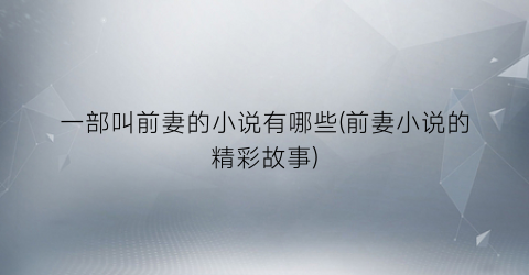 一部叫前妻的小说有哪些(前妻小说的精彩故事)