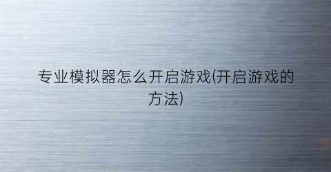 “专业模拟器怎么开启游戏(开启游戏的方法)