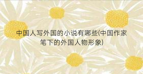 中国人写外国的小说有哪些(中国作家笔下的外国人物形象)