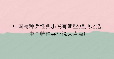 中国特种兵经典小说有哪些(经典之选中国特种兵小说大盘点)