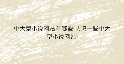 中大型小说网站有哪些(认识一些中大型小说网站)