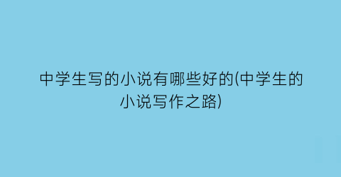 中学生写的小说有哪些好的(中学生的小说写作之路)