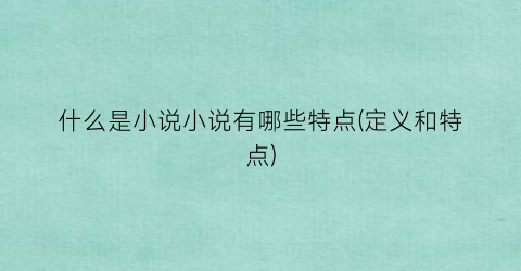 什么是小说小说有哪些特点(定义和特点)