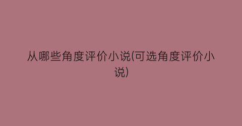 从哪些角度评价小说(可选角度评价小说)