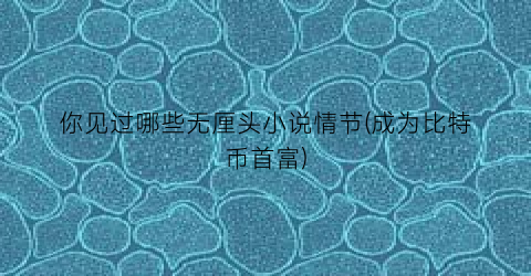 你见过哪些无厘头小说情节(成为比特币首富)