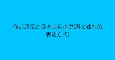 你都遇见过哪些土豪小说(网文独特的表达方式)